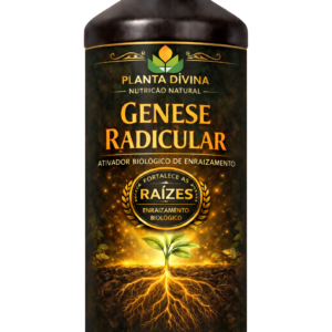 Gênese Radicular