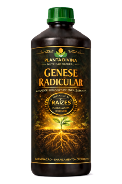 Gênese Radicular